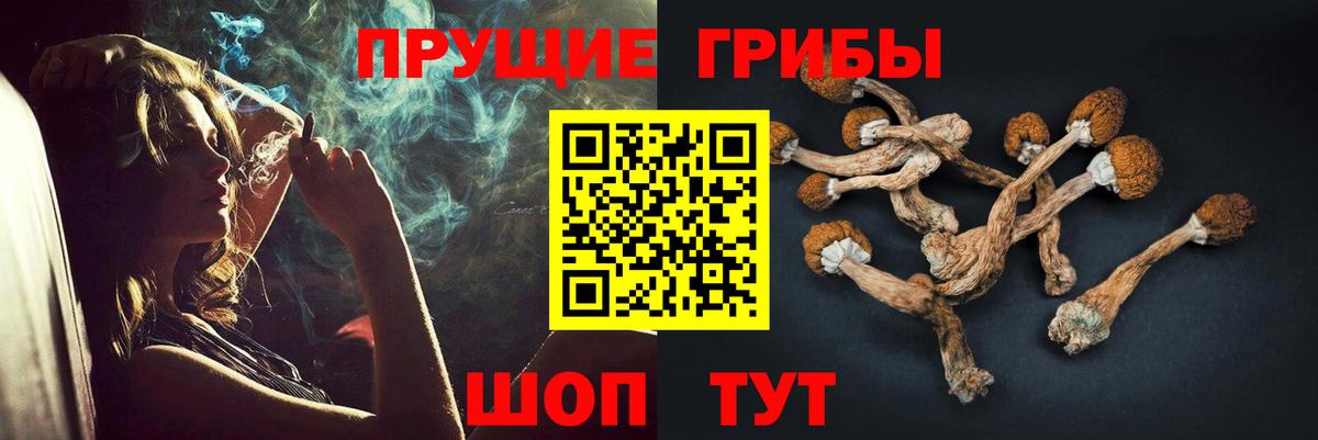 Галлюциногенные грибы Magic Shrooms  Вход с VPN  Лесосибирск 