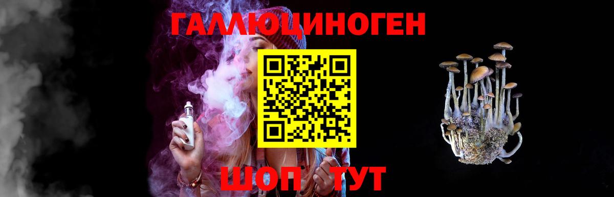 Псилоцибиновые грибы Psilocybine cubensis Лесосибирск
